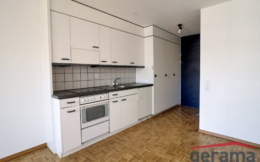 Appartement 1.5 pièce