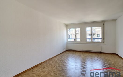 Appartement 1.5 pièce