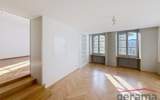 Magnifique appartement à louer à Fribourg