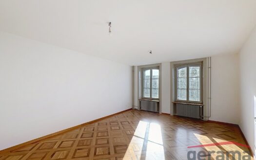 Magnifique appartement à louer à Fribourg