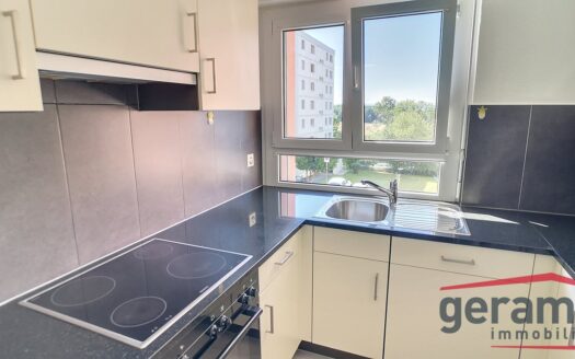 Appartement 3.5 pièces au 1er