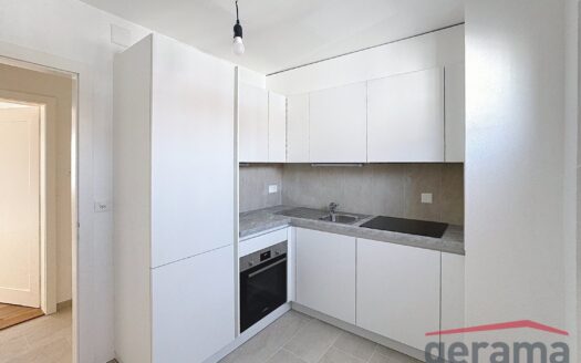 3.5 pièces entièrement rénové à Fribourg