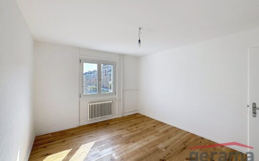 3.5 pièces entièrement rénové à Fribourg