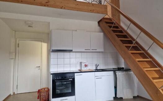 Jolie studio à la rue de Morat 8, Fribourg