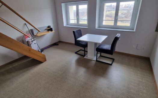 Jolie studio à la rue de Morat 8, Fribourg