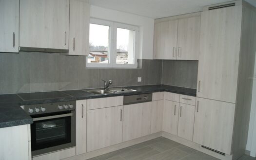 3.5 Zimmerwohnung in Tentlingen !