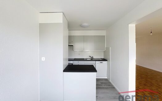 Bel appartement de 4,5 pièces rénové à Avenches