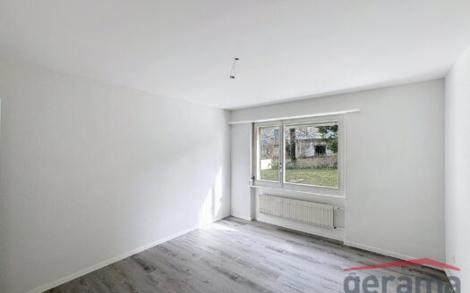 Bel appartement de 4,5 pièces rénové à Avenches