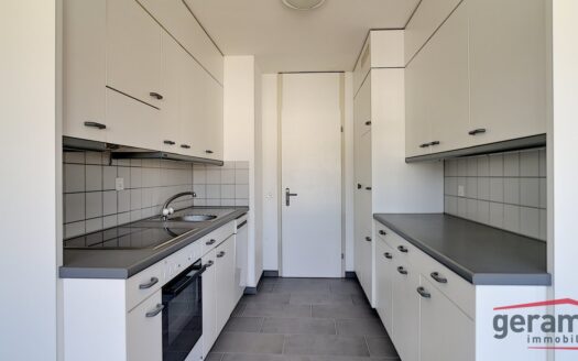 Spacieux 3.5 pièces avec vue magnifique !