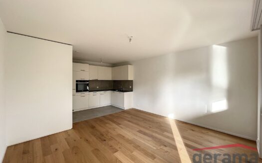 Superbe 2.5 pièce rénové au 5ème