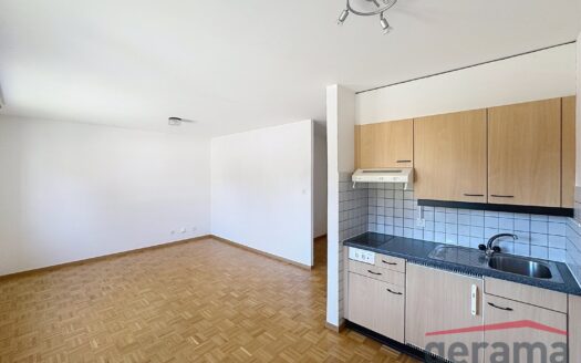 Appartement 1.5 pièce au rez