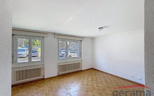 Appartement 1.5 pièce au rez