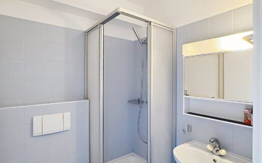 Appartement 1.5 pièce au rez