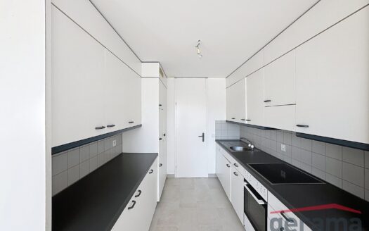 Appartement 4.5 pièces rénové