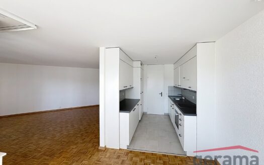 Appartement 4.5 pièces rénové