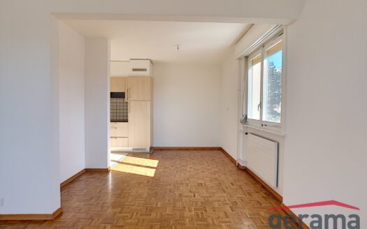 Appartement 3.5 pièces au rez