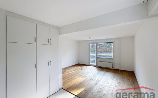 3.5 pièces entièrement rénové à Fribourg