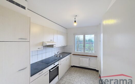 Appartement 4.5 pièces à Villars-sur-Glâne !