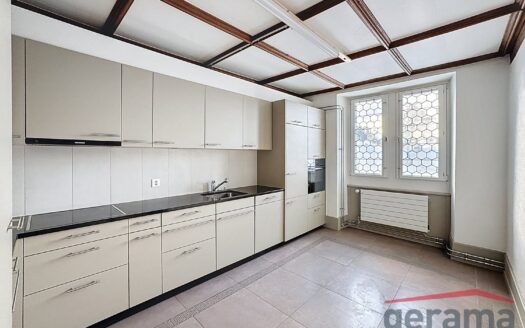 Duplex 5.5 pièces au Château de la Petite Riedera