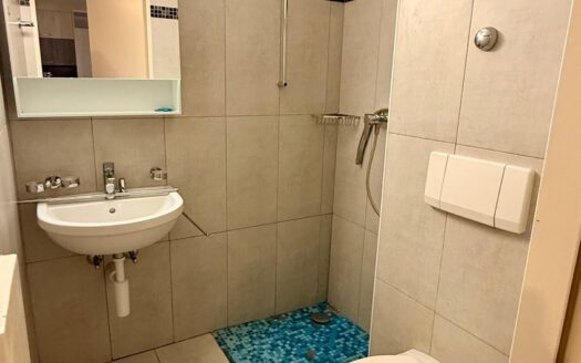 Charmant studio au 1er à Bex