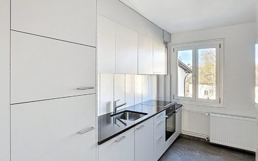 Appartement 3.5 pièces au 1er