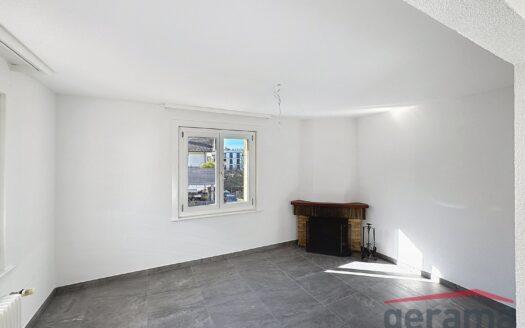 Appartement 3.5 pièces au 1er