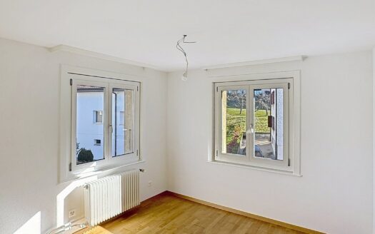 Appartement 3.5 pièces au 1er