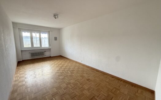 Joli 3.5 pièces au Schönberg !