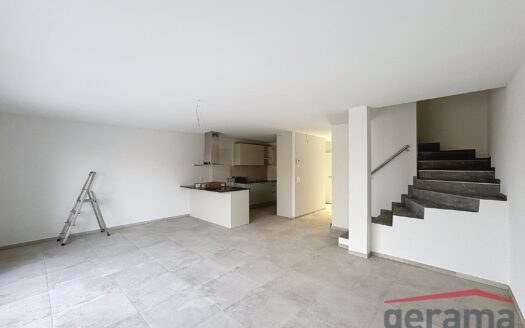 Magnifique villa neuve de 5.5 pièces à Nuvilly