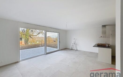 Magnifique villa neuve de 5.5 pièces à Nuvilly