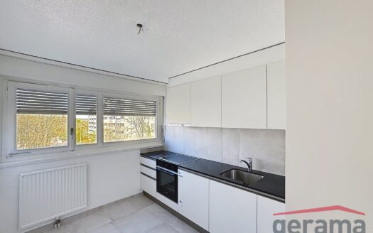 2.5 pièces entièrement rénové au 3ème à Fribourg