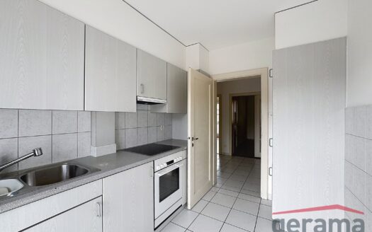 Appartement 4.5 pièces au 1er