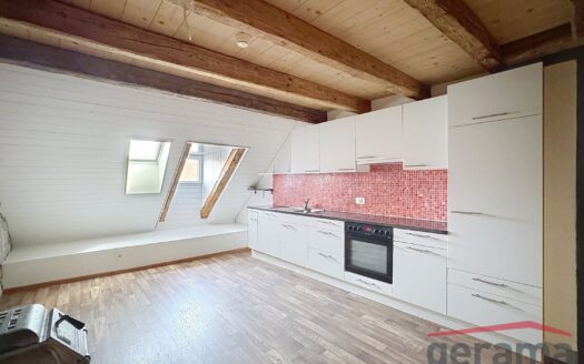 Bel appartement en duplex