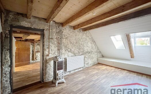 Bel appartement en duplex