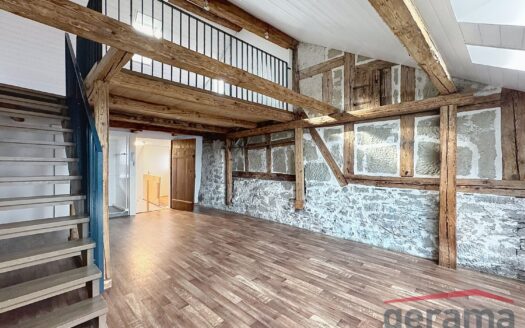 Bel appartement en duplex