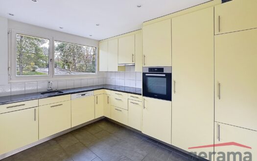 Charmant duplexe de 5.5 pièces à Fribourg