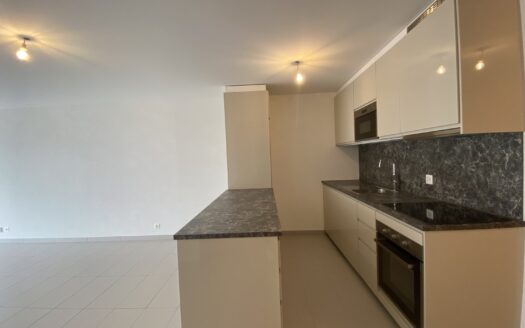 Joli appartement 2.5 pièces à Riddes !