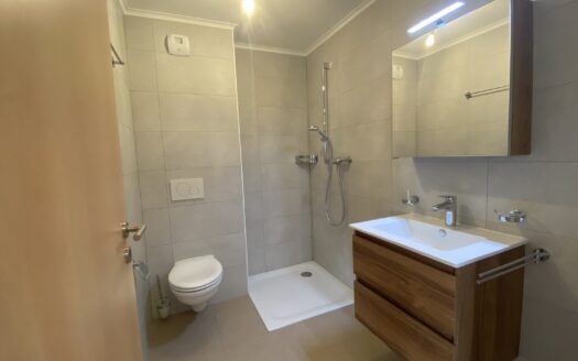 Joli appartement 2.5 pièces à Riddes !