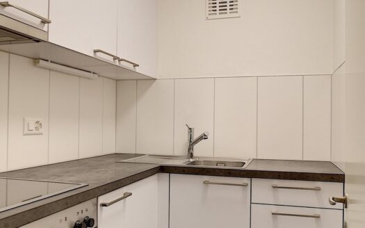 Idéal pour un étudiant !