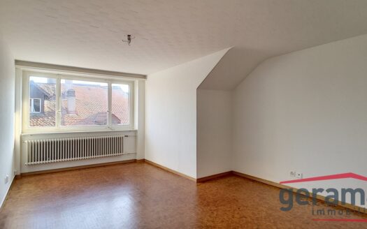 Idéal pour un étudiant !