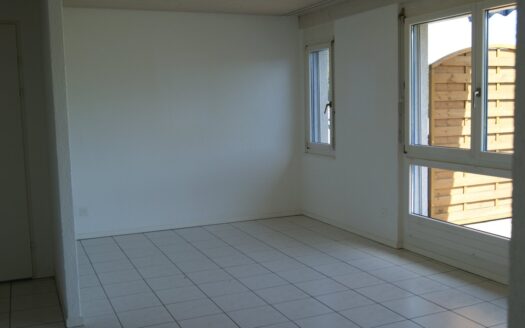 3.5 Zimmerwohnung in Schmitten