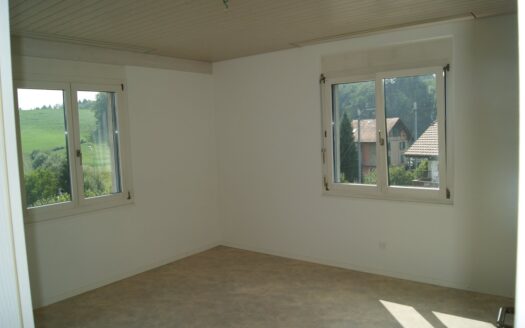 3.5 Zimmerwohnung in Schmitten