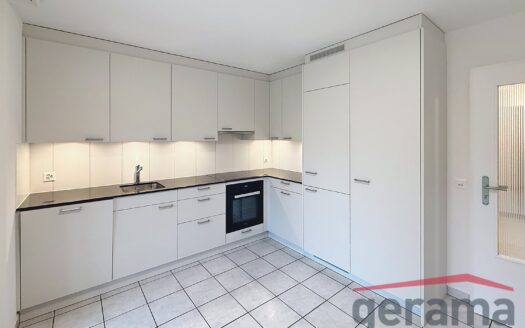 Appartement de 4.5 pièces entièrement rénové