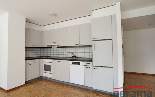 2.5 pcs avec terrasse