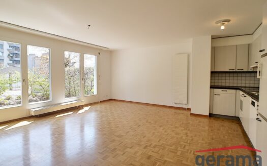 2.5 pcs avec terrasse