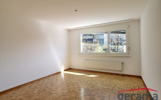 2.5 pcs avec terrasse