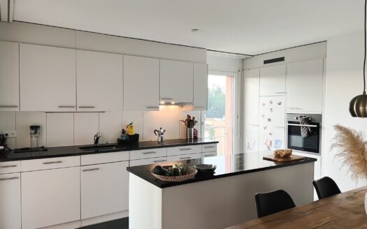 Très bel appartement à Granges-Paccot!