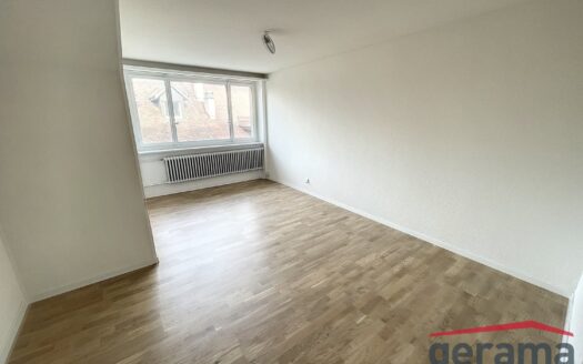 Idéal pour les étudiants