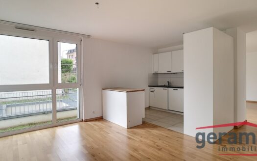 2.5 moderne au coeur de la ville !