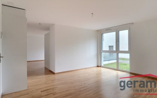 2.5 moderne au coeur de la ville !